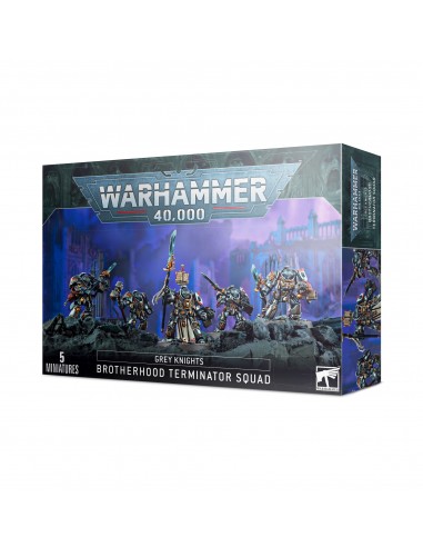 Brotherhood terminator squad - Grey...