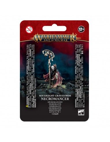 Deathmages: Necromancer - Age of...