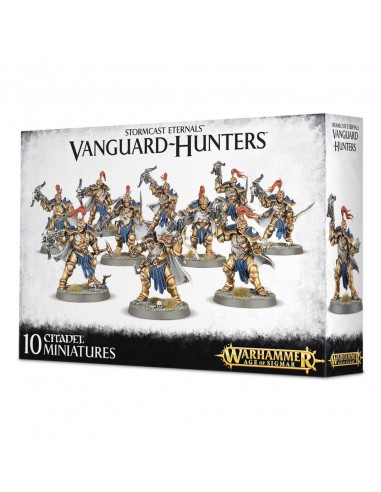 Vanguard-Hunters - Stormcast Eternals...