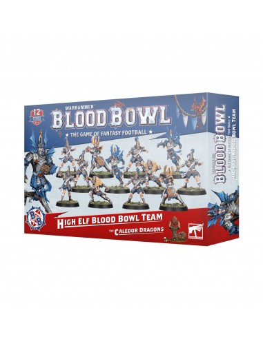 High Elf Blood Bowl Team - The...