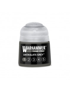 Dataslate Grey 1 - Tone Pro...
