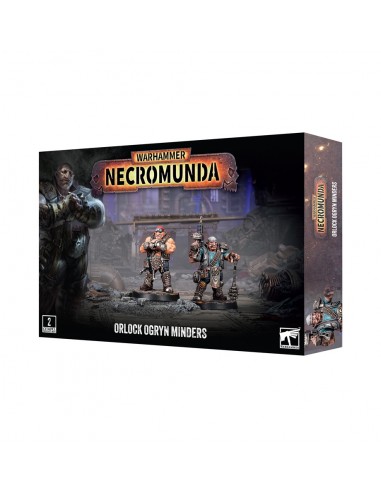 Orlock Ogryn Minders - House Orlock -...